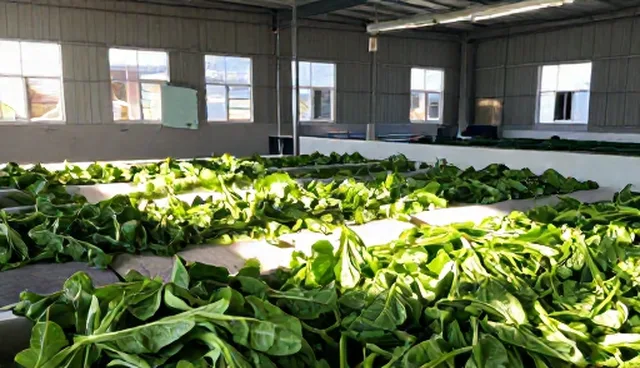 有机蔬菜加工品物流管理常见误区澄清