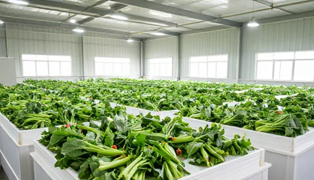 有机蔬菜加工品选型关注点有哪些？